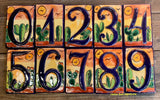 Talavera Tile House Numbers Cactus with Blue Border Desert Design