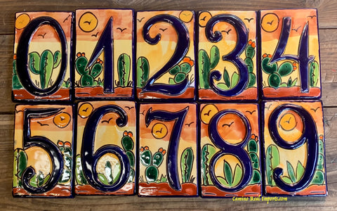 Talavera Tile House Numbers Cactus with Blue Border Desert Design