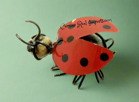 Lady Bug Caminorealimports.com