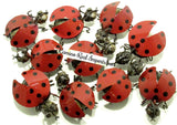 Lady Bug Caminorealimports.com