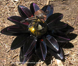 Yard Art Metal Flower on Spring with Music Ant 15"  MFSMA005