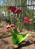 3 Metal Flowers Yard Or Garden Decor MRFB046