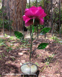 Metal art Rose Flower  MFLW005