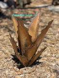 Metal Cactus Agave Yucca Yard Decor MYAS003